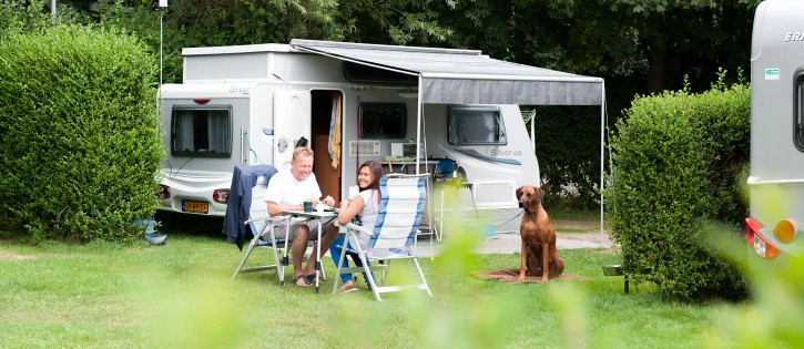 Kampeerplaats - Duinoord - plaats met hond