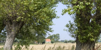 Typisch Zeeuws Vlaams.JPG