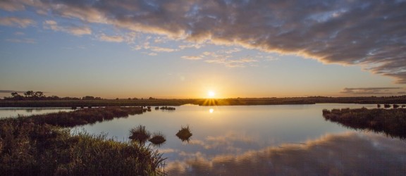 Naturgebiet De Onlanden