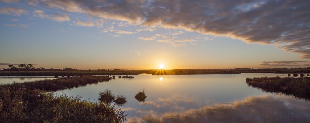 Naturgebiet De Onlanden