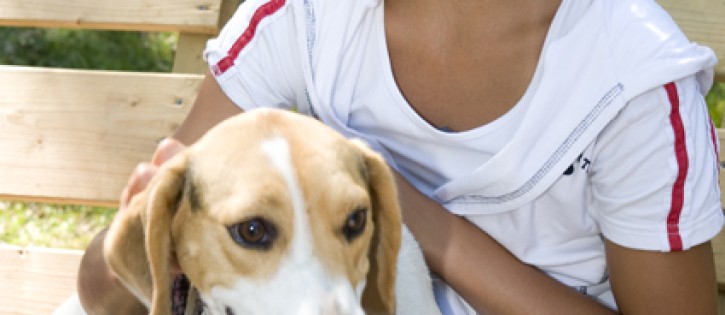 Honden - Jutberg - Hond algemeen