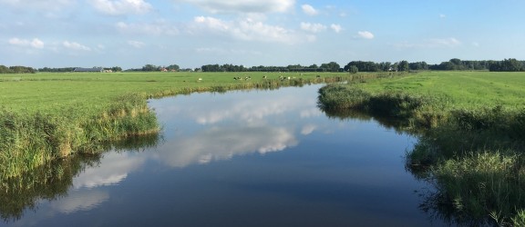 Tjeukesee
