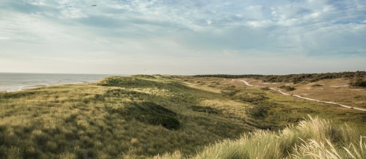 Duinen Sint Maartenszee.jpg