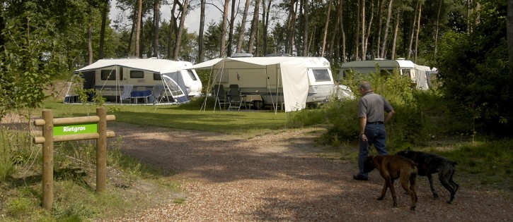 Honden - Diana Heide - gast met hond