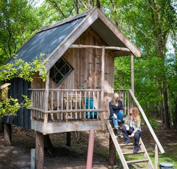 Torentjeshoek 2020 Boomhut type 1 - veld 32