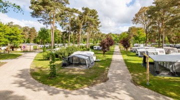 Kamperen bij De Heldense Bossen