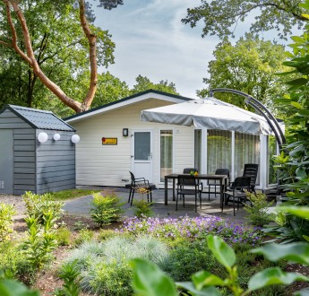 Gerbera - Type G (1).jpg