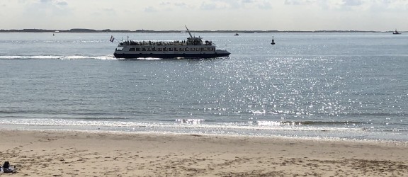 Rundfahrt Vlissingen mit Robbensafari