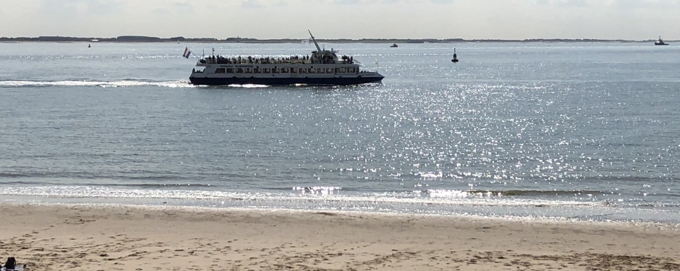 Rundfahrt Vlissingen mit Robbensafari