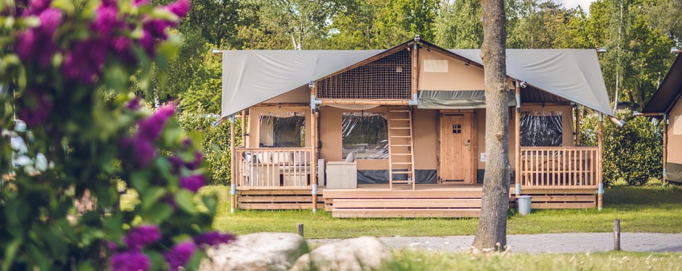 Ackersate 12052023-239.jpg Ackersate 12052023-239.jpg