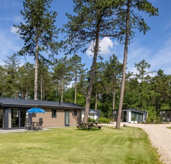 Frisling 4 De Haeghehorst .jpg