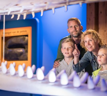 Ecomare STM_Ecomare_StefanKrofft-2019 (59).jpg