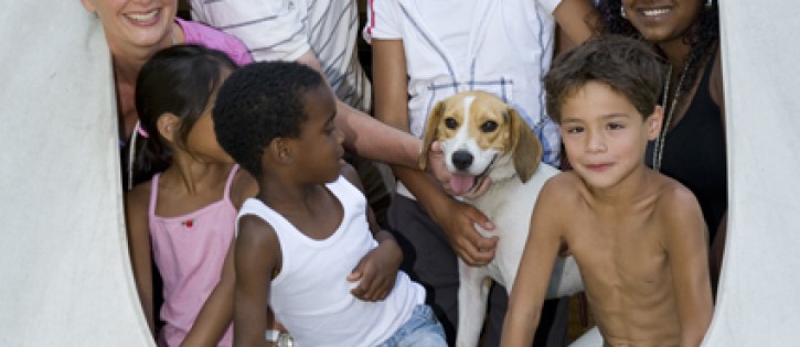 Honden - Jutberg - hond en familie ingang tipi