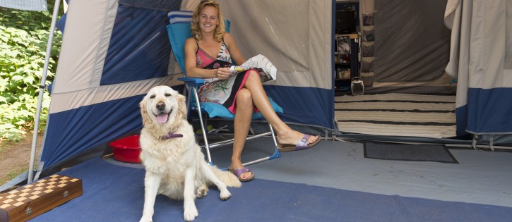 Honden - Jutberg - hond voor tent