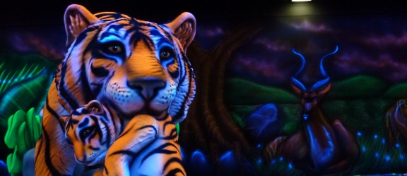 Glow Golf Middelburg