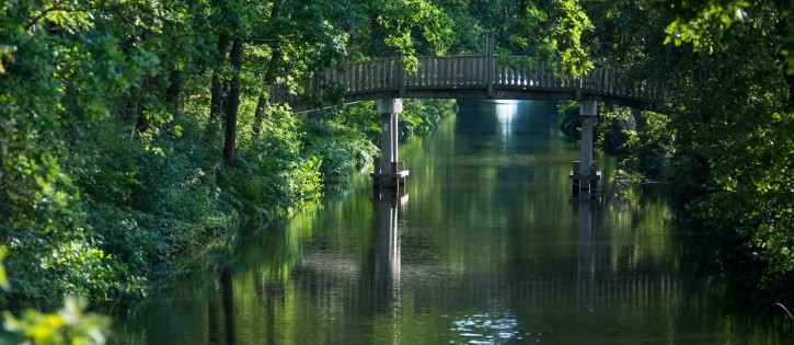 De-Kuilart bosrijke omgeving