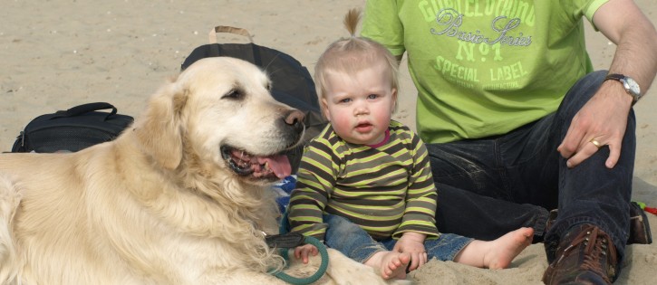 Honden - Noorder Sandt - Prive SA Duke op strand