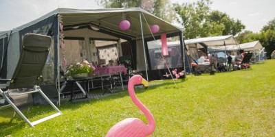 Comfortplaats Camping Zonneweelde