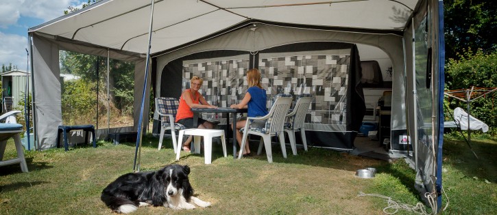 Honden Kampeerplaats met stroom Camping ´t Geuldal Limburg.jpg