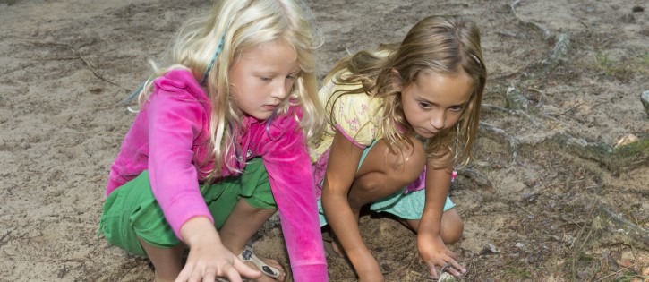 Kids - Jutberg - natuurlijk spelen