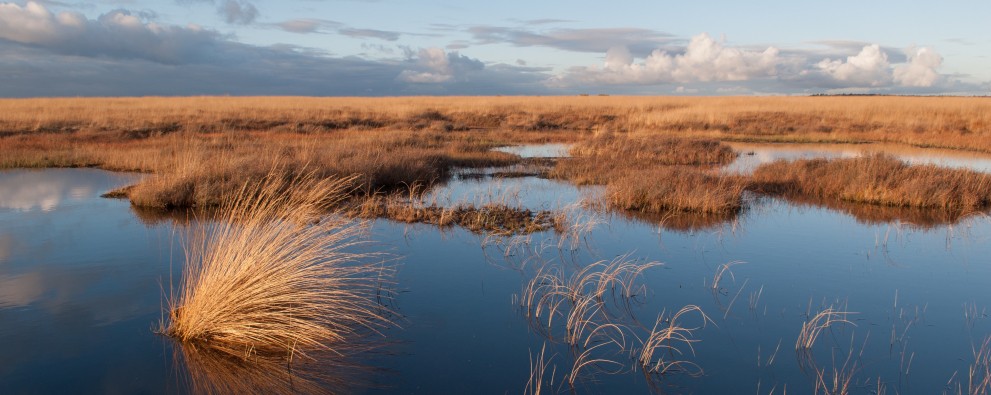 National Park De Hoge Veluwe
