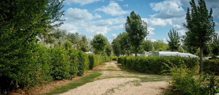 Langs de Geul Camping ´t Geuldal (3).jpg