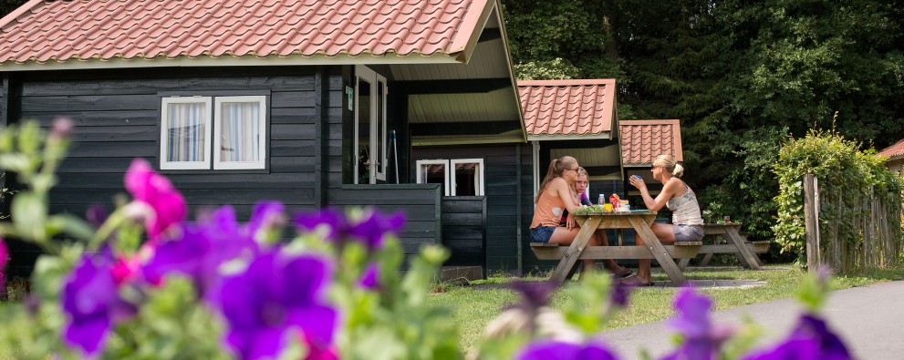 Huren - Trekkershut Noetselerberg bloemen Huren - Trekkershut Noetselerberg bloemen