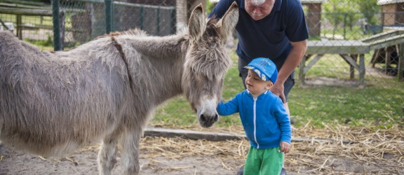 Play farm Pierewiet