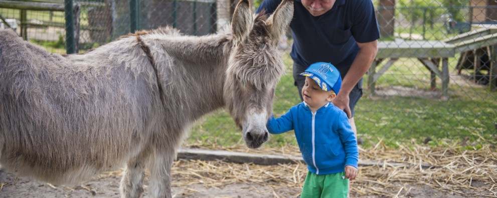 Play farm Pierewiet
