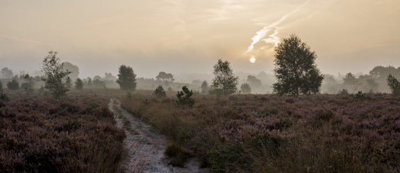 National Park de Sallandse Heuvelrug