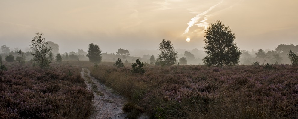 National Park de Sallandse Heuvelrug