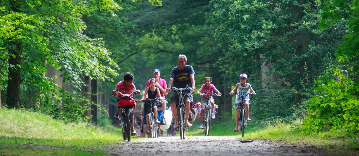 De-Kuilart fietsroutes in bos