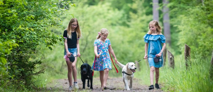 Torentjeshoek Honden-7.jpg