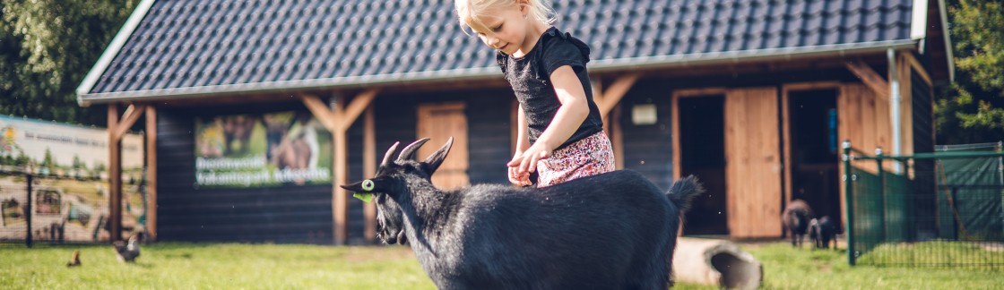 Ackersate - Kinderboerderij