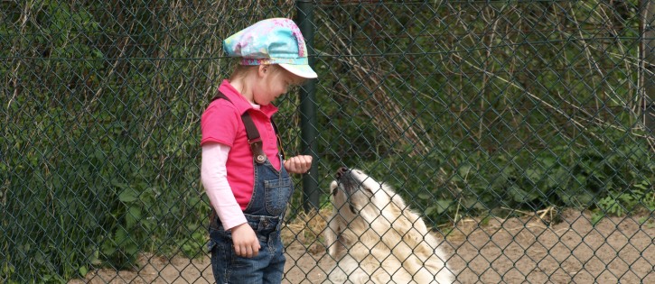 Honden- Noorder Sandt - Prive SA Sharissa met Duke