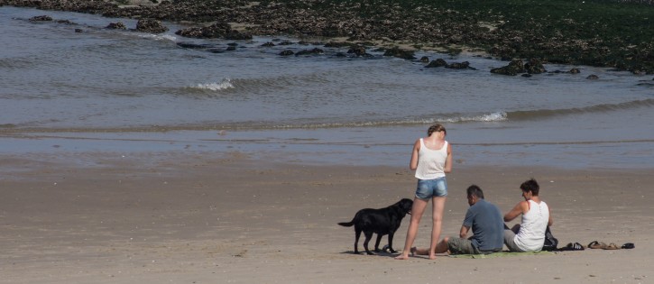 Honden - Sint Maartenszee - strand hond