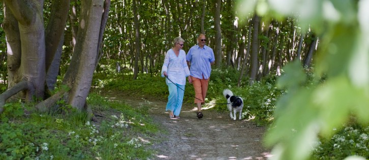 Honden - Duinoord - wandelen met de hond