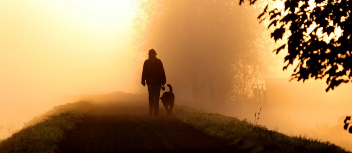 Honden - Diana Heide - hond uitlaten in ochtendmist