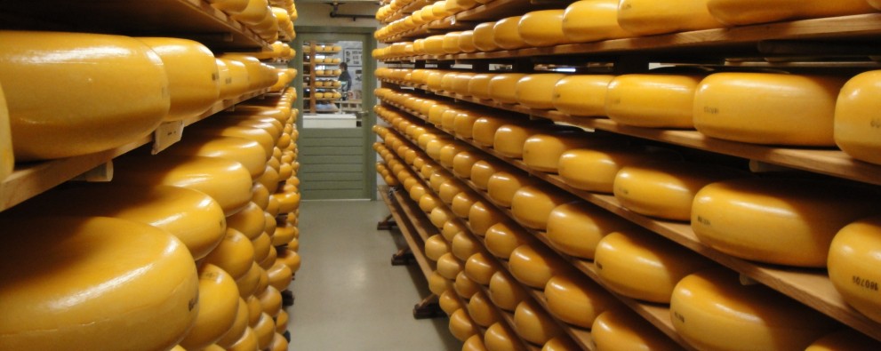 Cheese Farm Schellach
