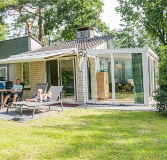 Camelia en Crocus - Type C (1).jpg