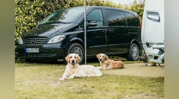 Luxe kampeerplaats