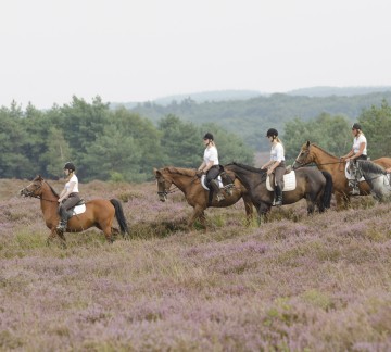 Manege - Heiderit Veluwe