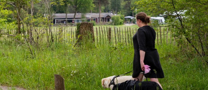 Torentjeshoek Honden-20.jpg