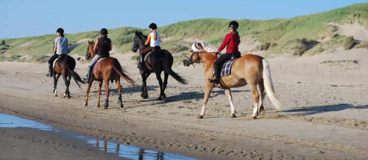 Paarden strand