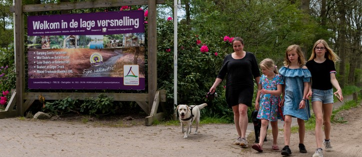 Torentjeshoek Honden-22.jpg