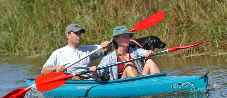 Honden - Noorder Sandt - Hond in kano