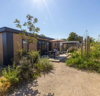 Lodged_Zonneweelde (65 van 140).jpg