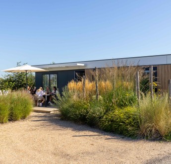 Lodged_Zonneweelde (37 van 140).jpg