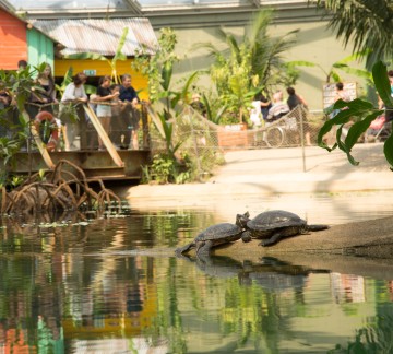 Burgers zoo 4