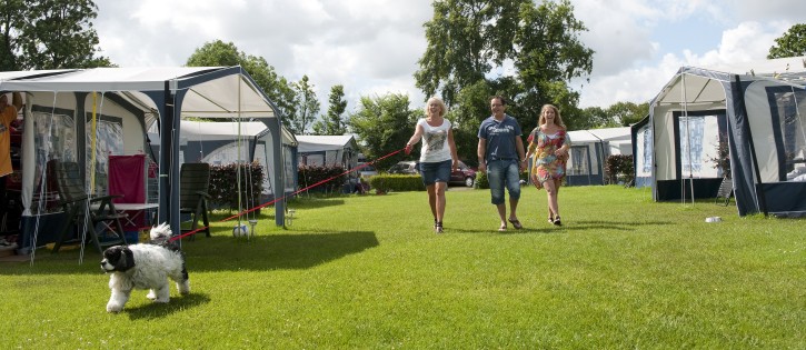 Honden - Scheldeoord - Hond kampeerveld